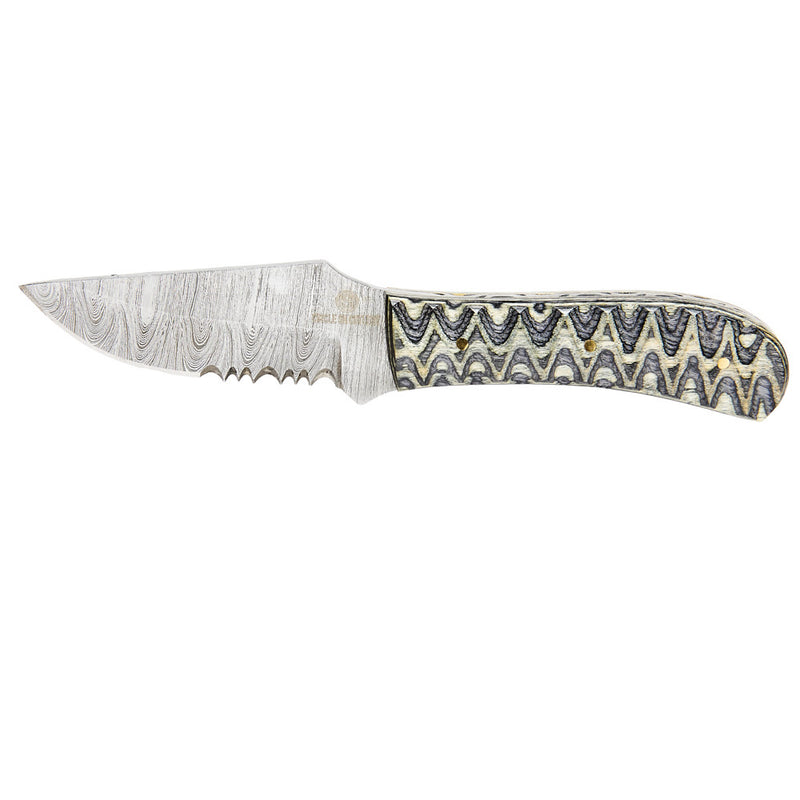 Circle SH Cutlery Black & Gold Partial Serrated Fixed Blade with Sheath