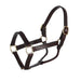 Triple Stitched 1 1/8in Track Halter w/ Fixed Chin