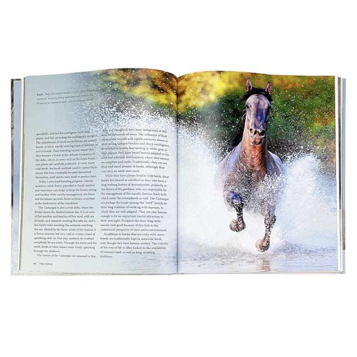 Cottage Door Press The Horse Book