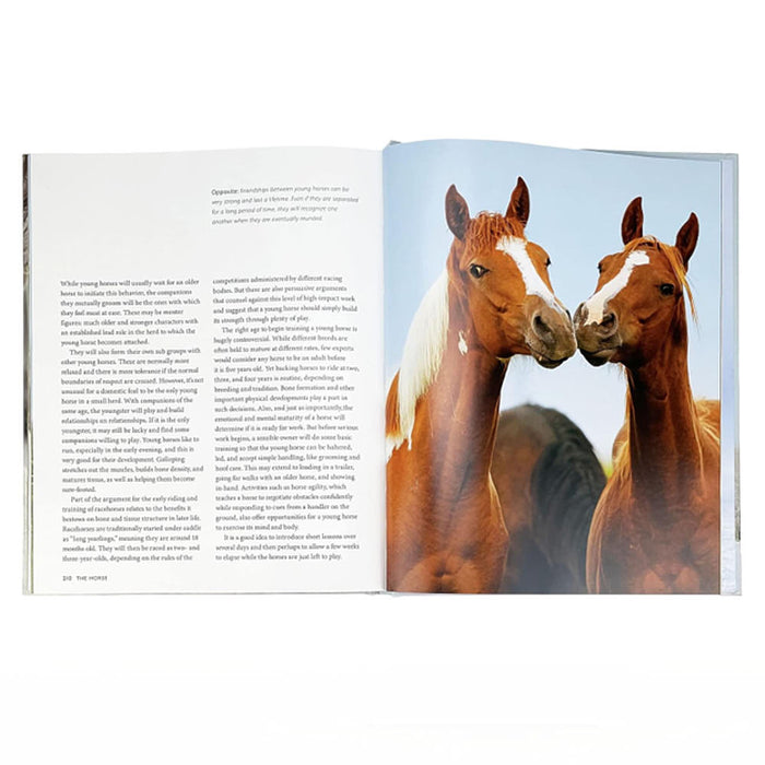 Cottage Door Press The Horse Book