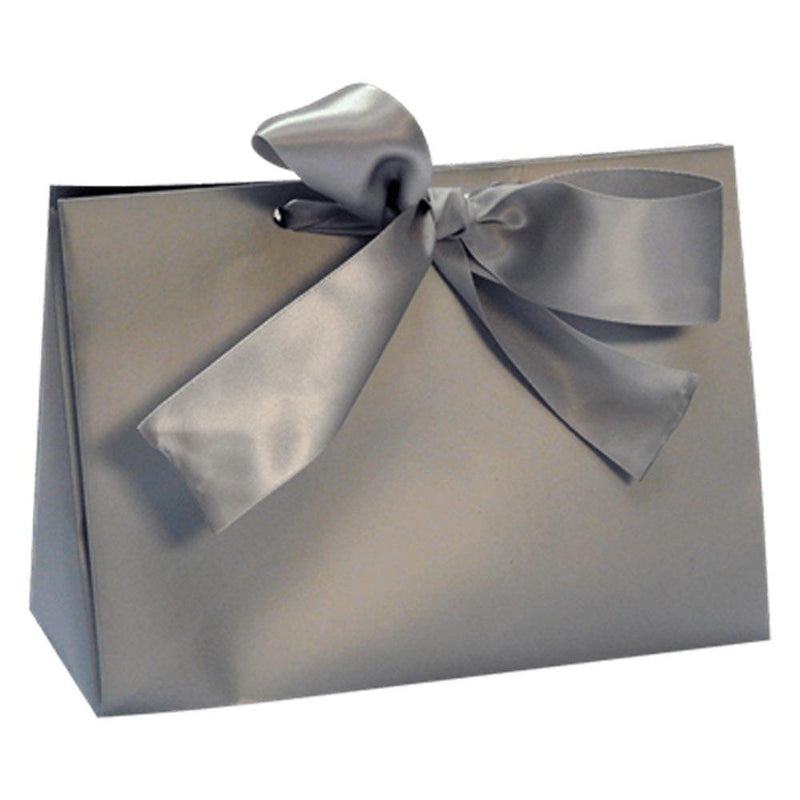 Silver Purse Gift Box