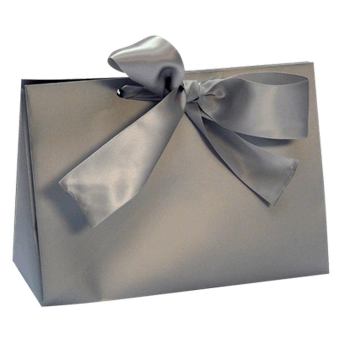 Silver Purse Gift Box