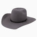 Hooey Grey 4X Day Money Hat
