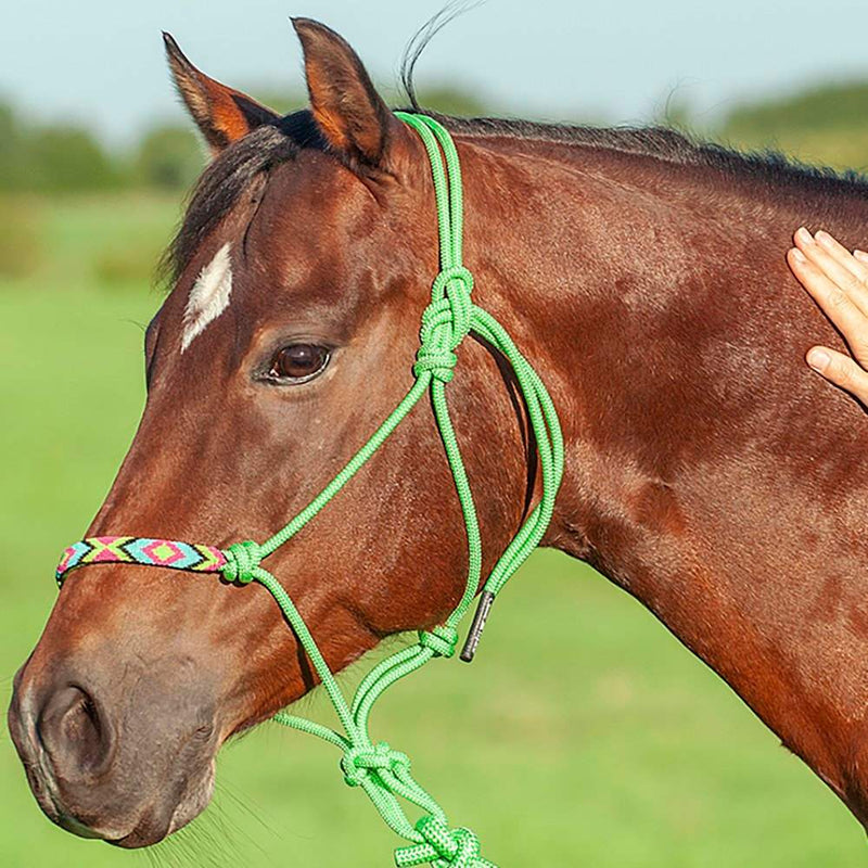 Lime Green Beaded Rope Halter w/ 9ft Lead
