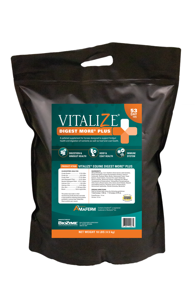 Vitalize Equine Digest More Plus 10lb