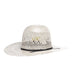 Stormy Taupe and Natural 4 1/4in Brim Straw Hat