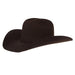 Specialist 4X Chocolate Felt Hat