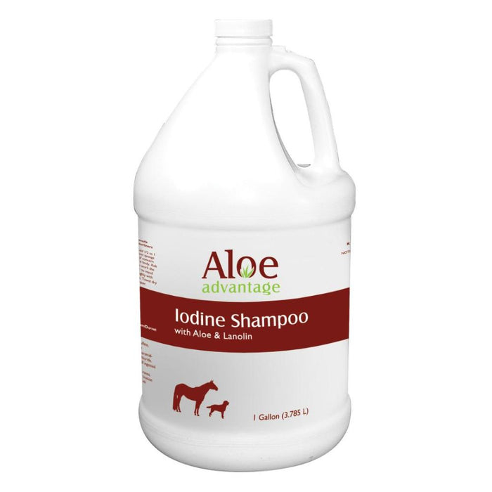 Aloe Advantage Iodine Shampoo Gallon