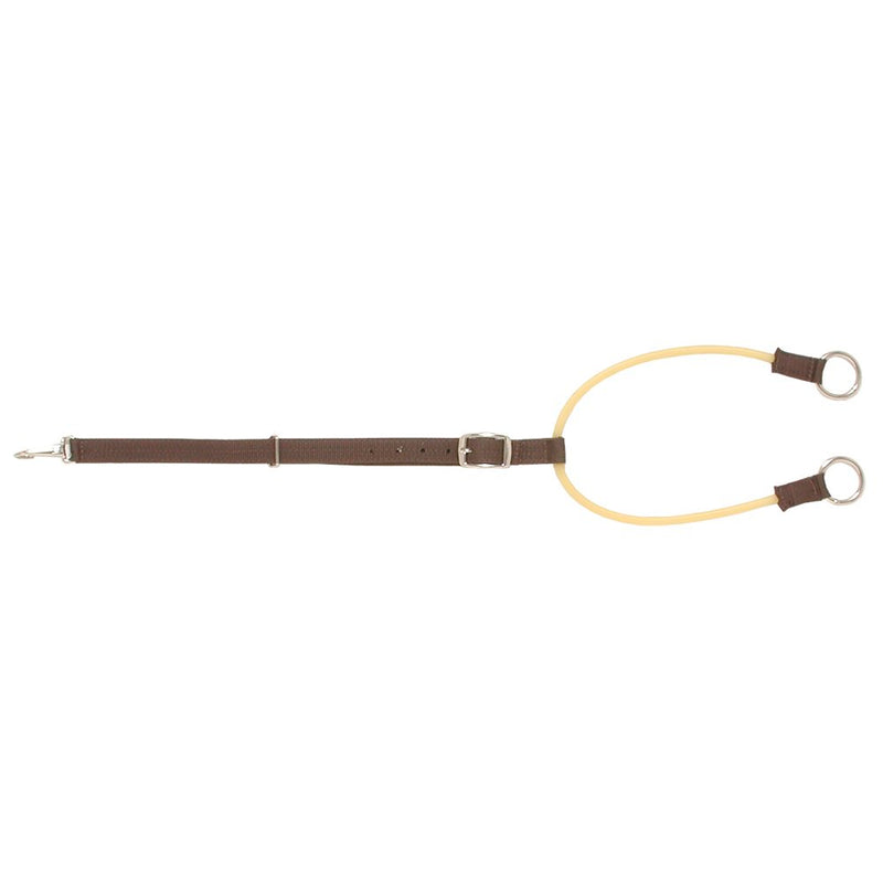 Nylon Training Martingale