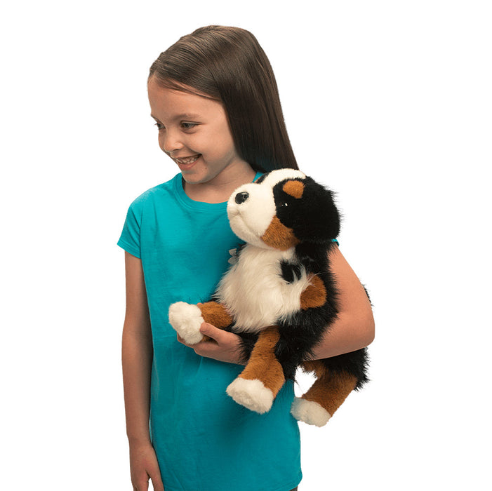 Douglas Trevor Bernese Mountain Dog