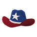 Shaped Patriotic Hat Pillow