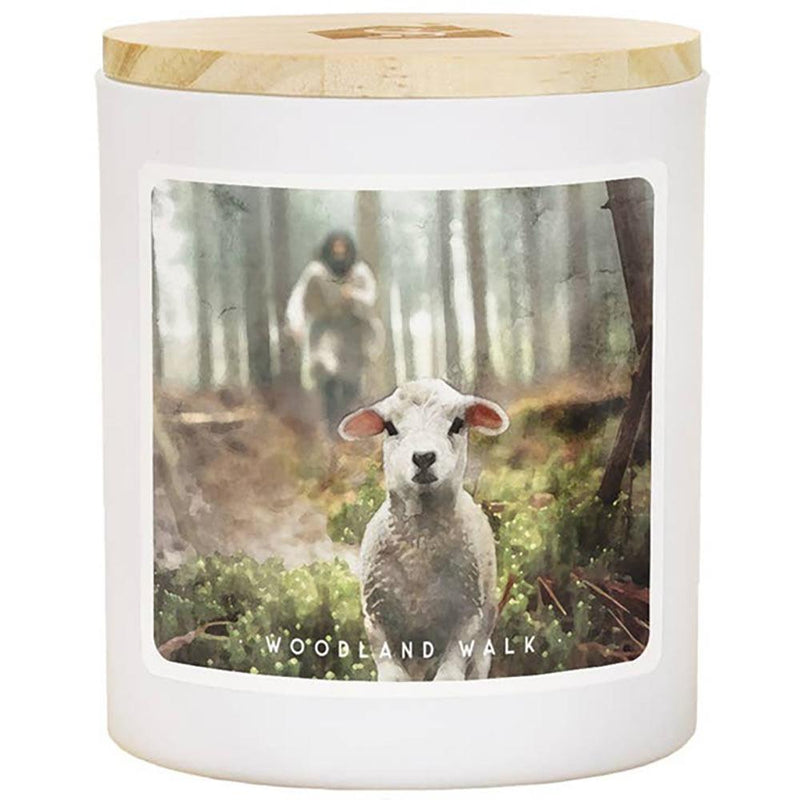 Jesus Rescuing Lamb