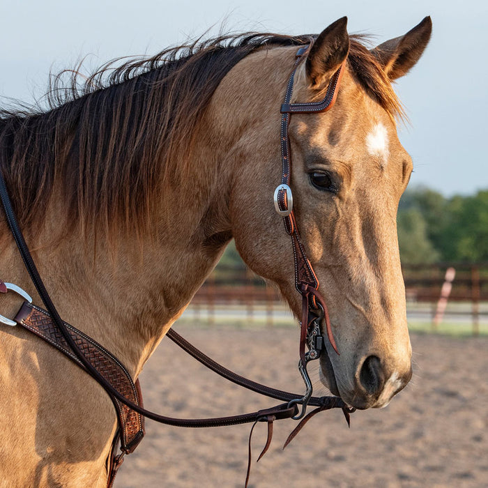 Weathered Antique Signle Ear Headstall with Latigo Ties