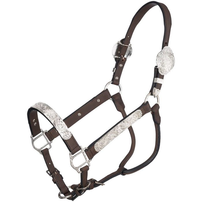 Silver Royal Berry Edge Scroll Dark Oil Show Halter