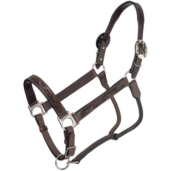 Silver Royal Dark Oil Ranch Horse Show Halter