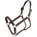 Silver Royal Dark Oil Ranch Horse Show Halter