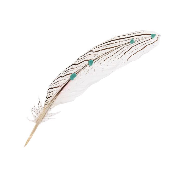 White Feather with Turquoise Stones