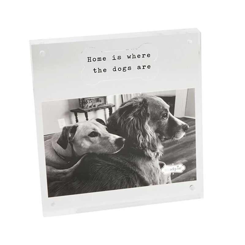 4x6 Acrylic Dog Bone Frame