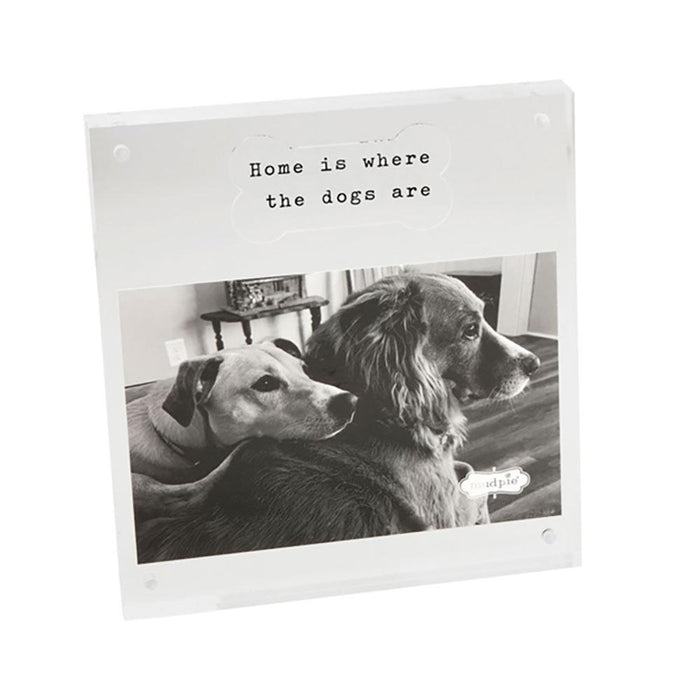 4x6 Acrylic Dog Bone Frame
