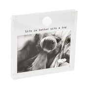 4x6 Acrylic Dog Paw Frame