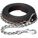 Silver Royal Leather Show Lead with Chain