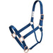 Nylon Halter with Rose Gold Hardware and Lead Rope