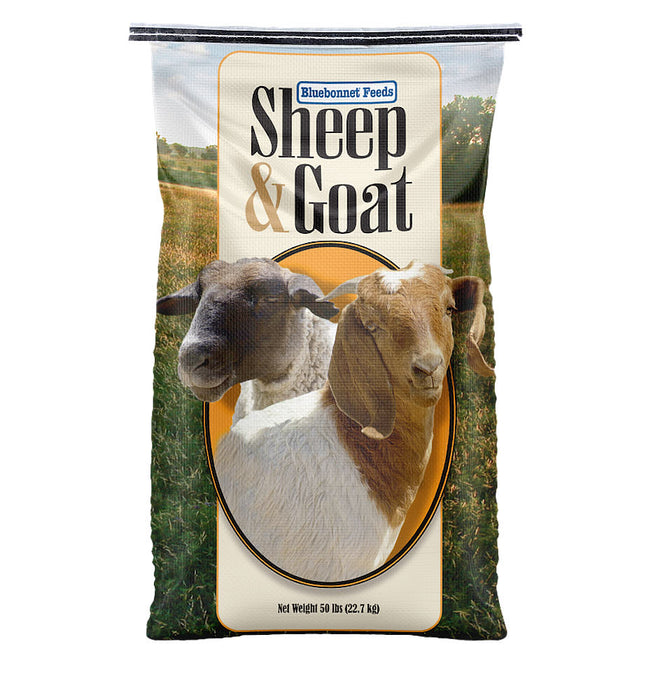 Sheep And Goat