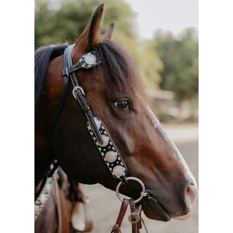 Black Dinero Single Ear Headstall