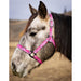 Jackpot Nylon Halter