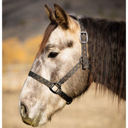 Designer Nylon Halter