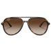Brown Gradient Havana Sunglasses
