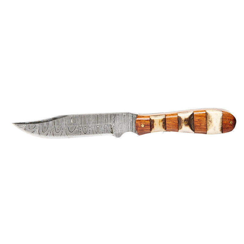 Circle SH Cutlery Damascus Natural Wood And Stag Horn Knife With Sheath