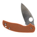 Burnt Orange Sage 5 CPM Rex 121