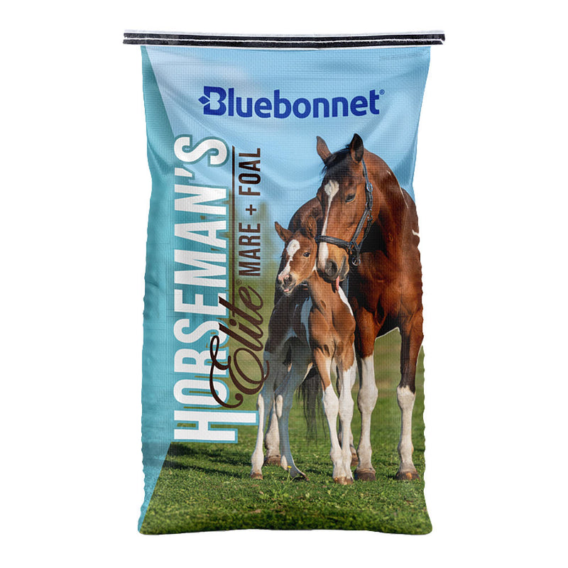 Horseman's Elite Mare and Foal Nugget
