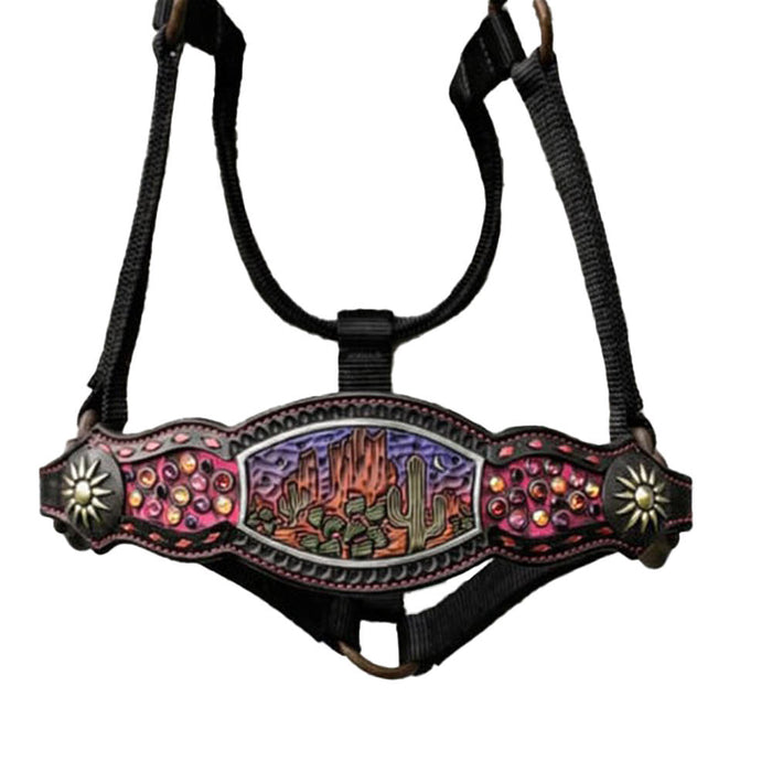 Sunset Desert Dweller Crystal Bronc Noseband Nylon Halter