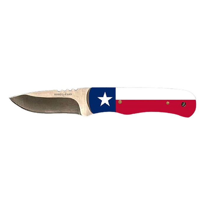 God Bless Texas Skinner