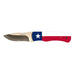 God Bless Texas Skinner