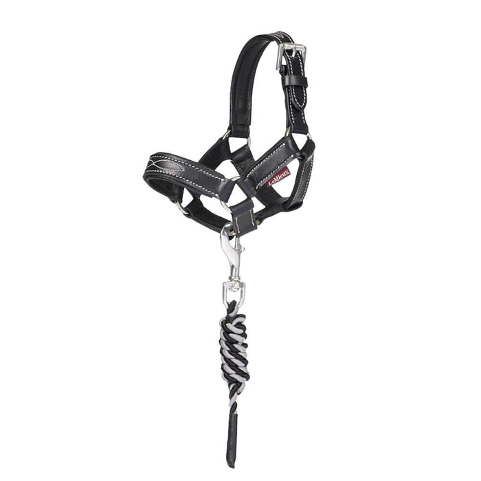 Toy Pony Leather Headcollar & Leadrope Black