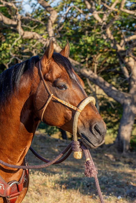 Hand Braided Rag Hackmore