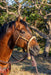 Hand Braided Rag Hackmore