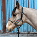 Daisy If You Do Lariat Nose Halter