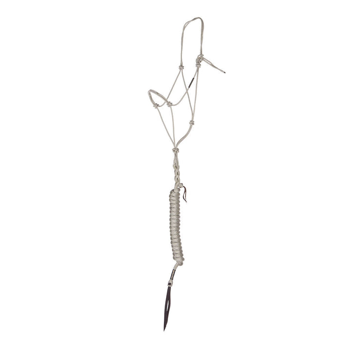 Timeless Platinum Halter with Platinum Lead Rope