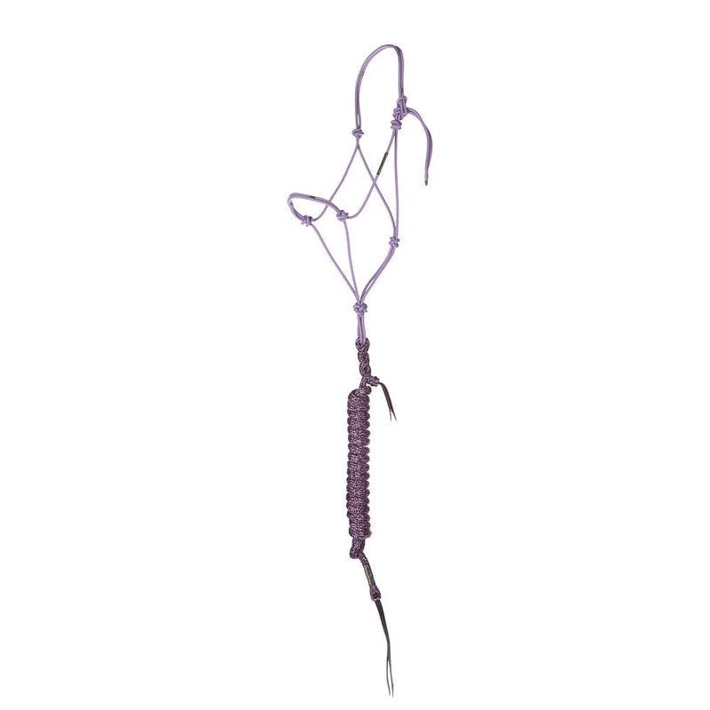 Timeless Light Purple Halter with Be Mine Lead Rope