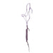 Timeless Light Purple Halter with Be Mine Lead Rope