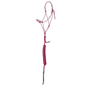 Timeless Rose Quartz Halter with Pink Lead Rope