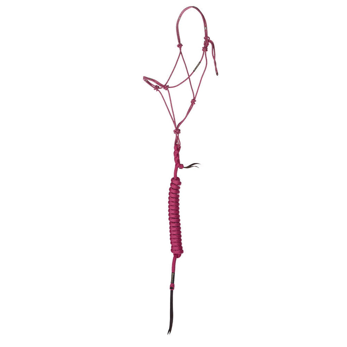 Timeless Rose Quartz Halter with Pink Lead Rope
