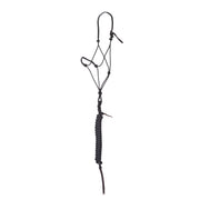 Timeless Black Halter with Black Lead Rope