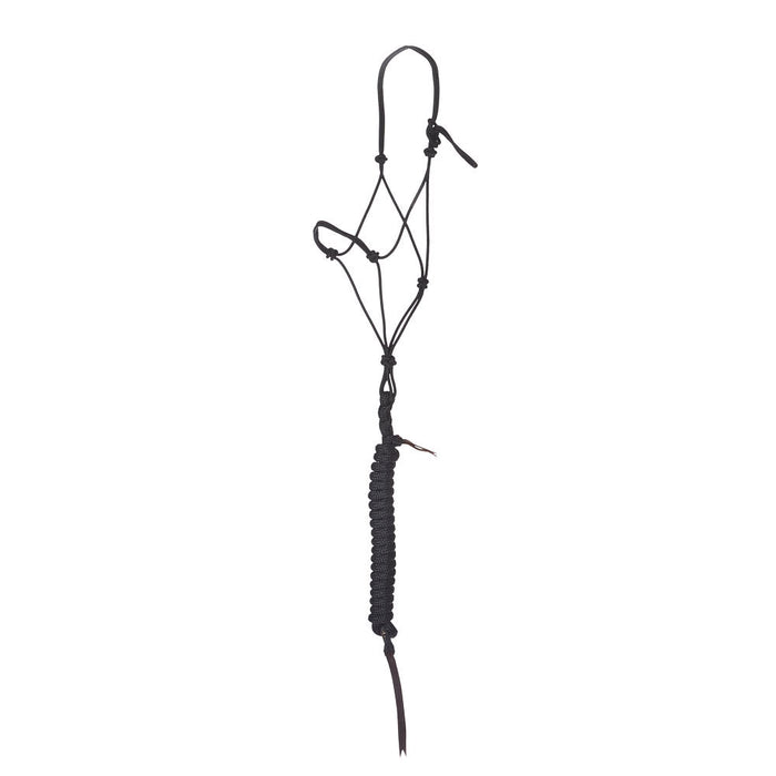 Timeless Black Halter with Black Lead Rope