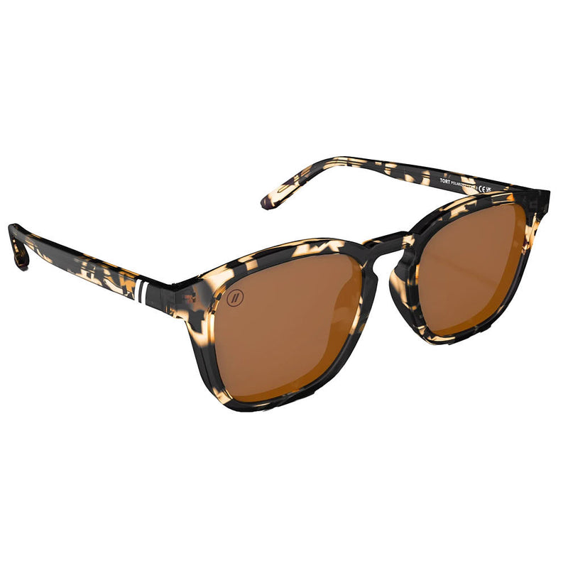 Blenders Tort Sydney Sunglasses