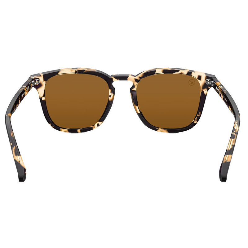 Blenders Tort Sydney Sunglasses